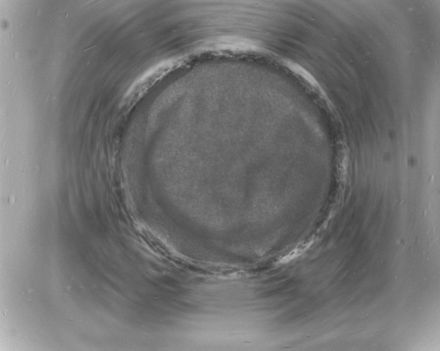 X0000085281112200704092159