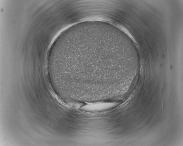 X0000085281116200704092159