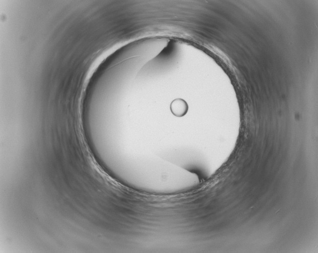 X0000085281120200704092159