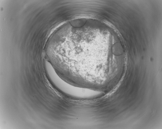 X0000085281121200704092159