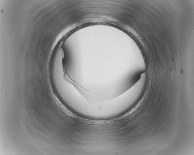 X0000085281122200704092159