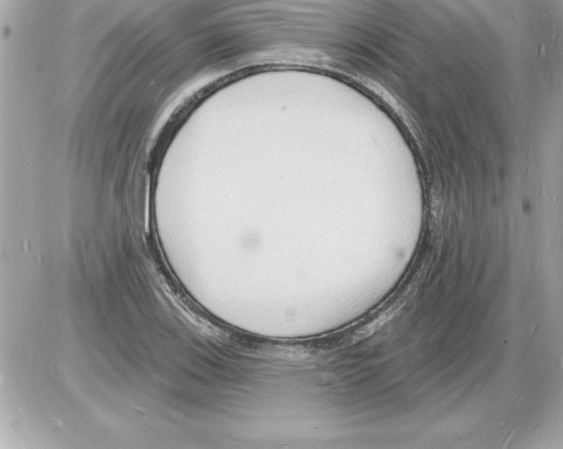 X0000085281123200704092159