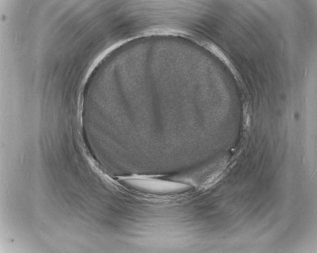 X0000085281124200704092159