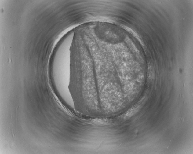 X0000085281125200704092159