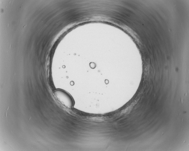 X0000085281126200704092159