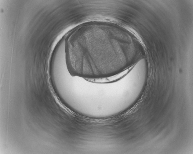 X0000085281128200704092159