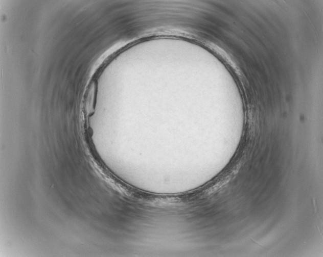 X0000085281133200704092159