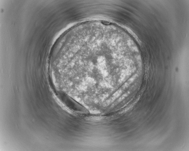 X0000085281134200704092159