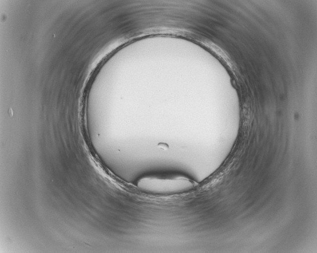 X0000085281135200704092159