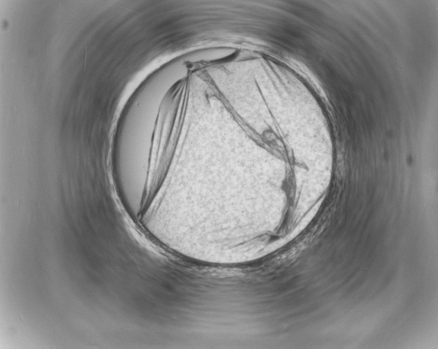 X0000085281136200704092159