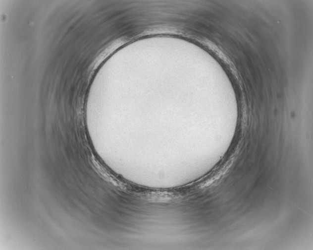 X0000085281137200704092159