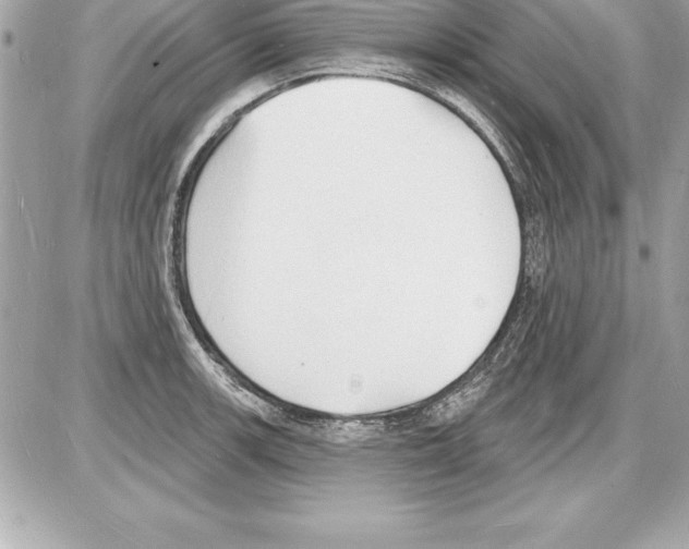 X0000085281139200704092159