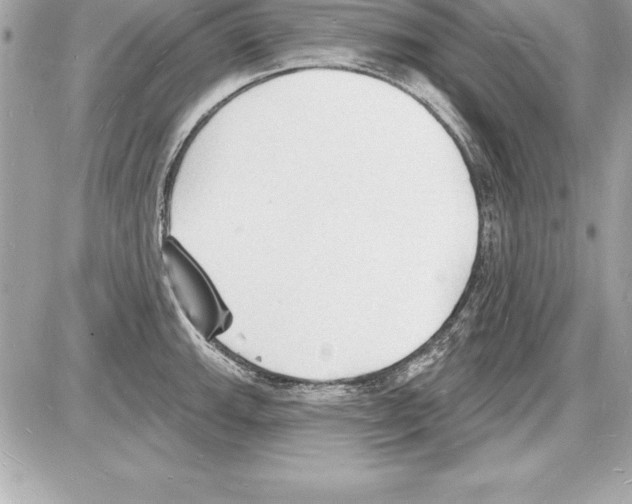 X0000085281143200704092159