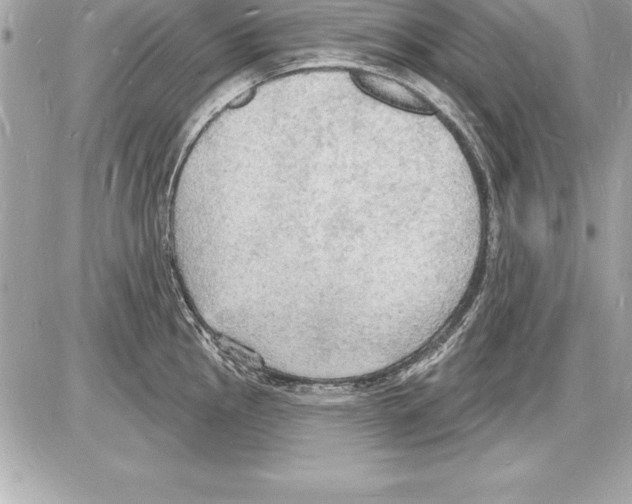 X0000085281145200704092159