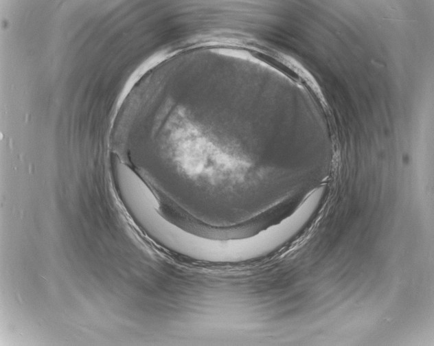 X0000085281146200704092159