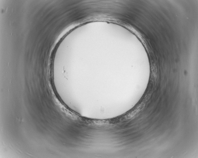 X0000085281147200704092159