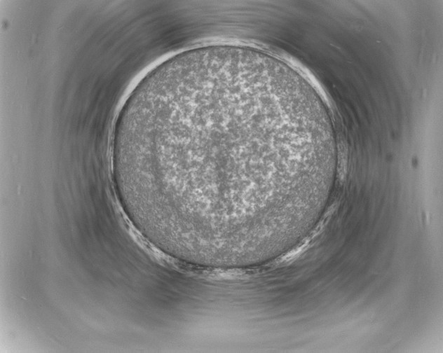 X0000085281148200704092159