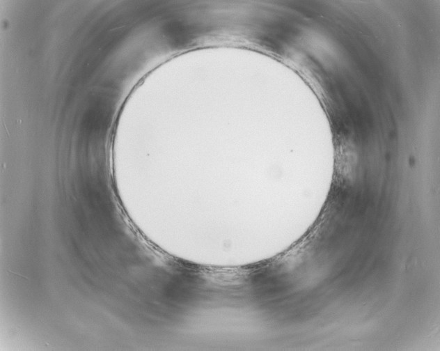 X0000085281150200704092159