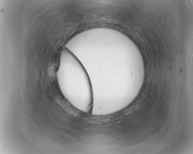 X0000085281156200704092159