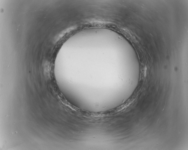 X0000085281157200704092159