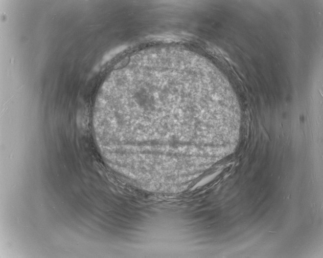 X0000085281158200704092159