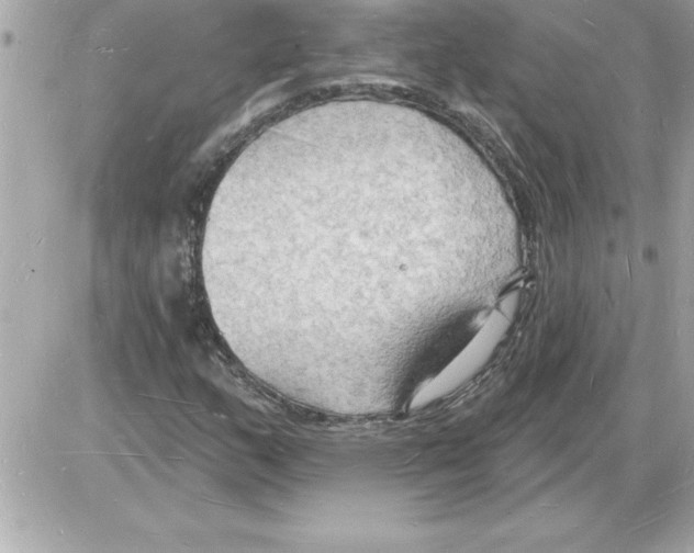 X0000085281159200704092159