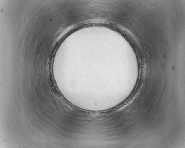 X0000085281162200704092158