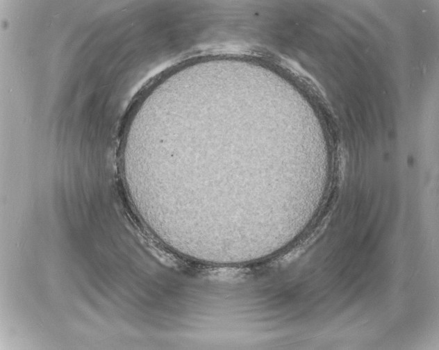 X0000085281166200704092158