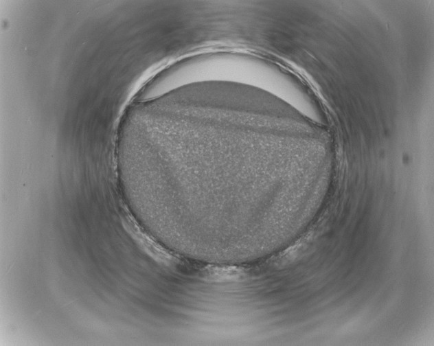 X0000085281168200704092158