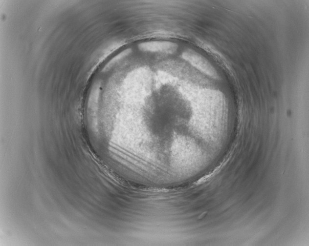 X0000085281170200704092158