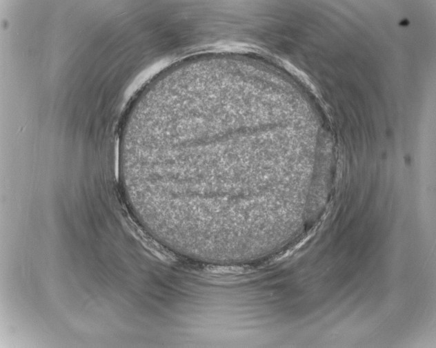 X0000085281171200704092158