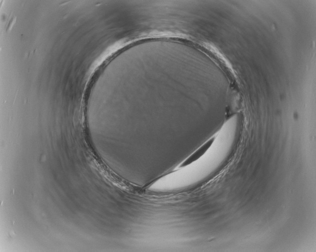 X0000085281173200704092158