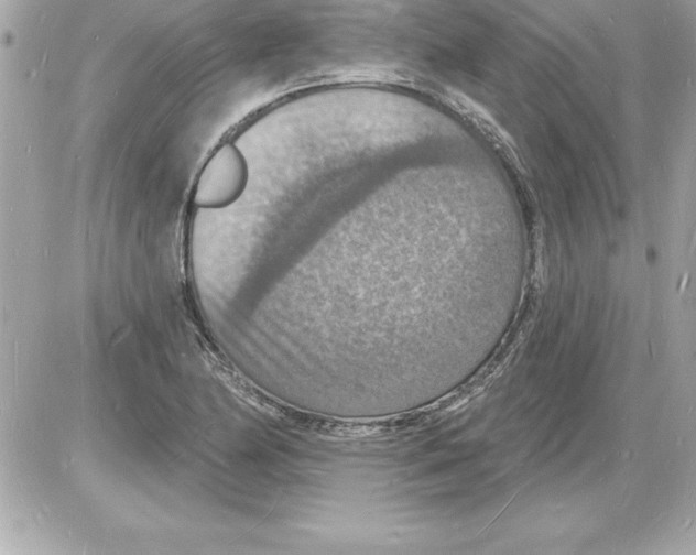 X0000085281174200704092158