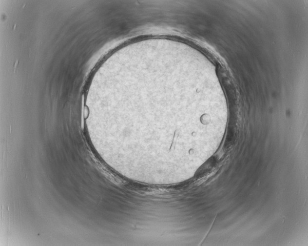 X0000085281175200704092158