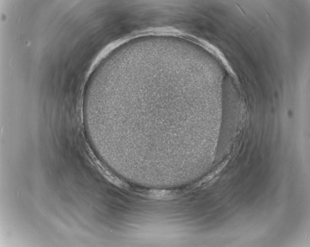 X0000085281176200704092158