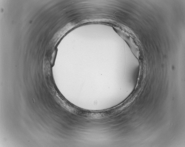 X0000085281177200704092158