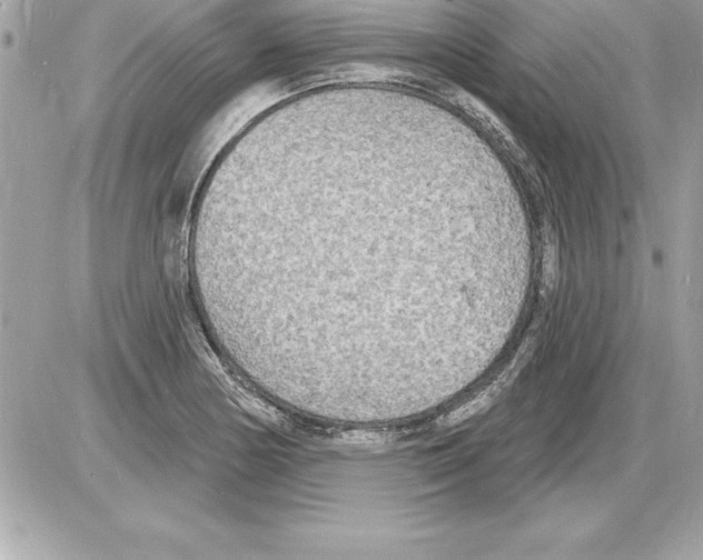 X0000085281178200704092158