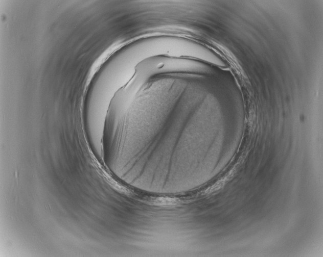 X0000085281180200704092158