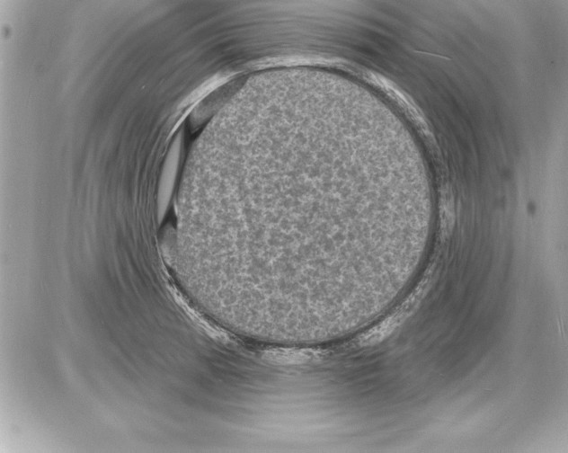 X0000085281185200704092158