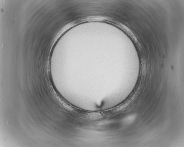 X0000085281186200704092158