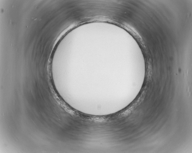 X0000085281190200704092158