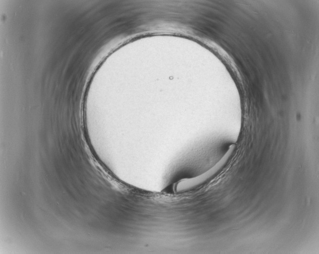 X0000085281191200704092158