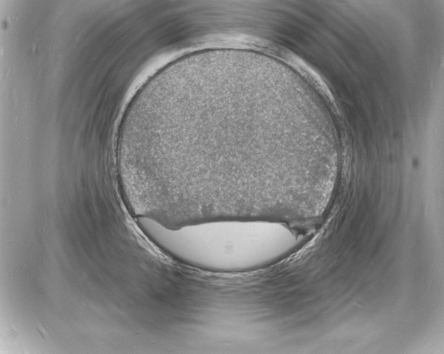 X0000085281192200704092158