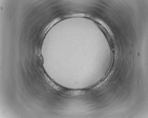 X0000085281193200704092158