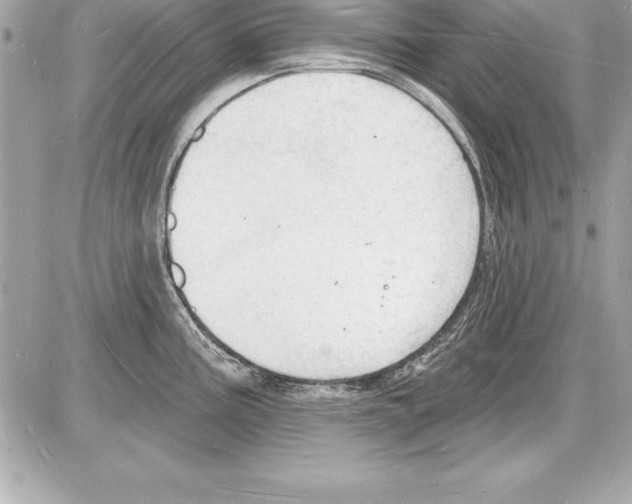 X0000085281195200704092158