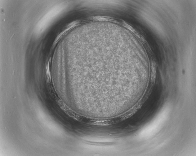 X0000085281198200704092158