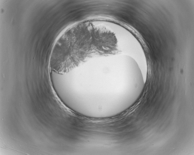 X0000085281199200704092158