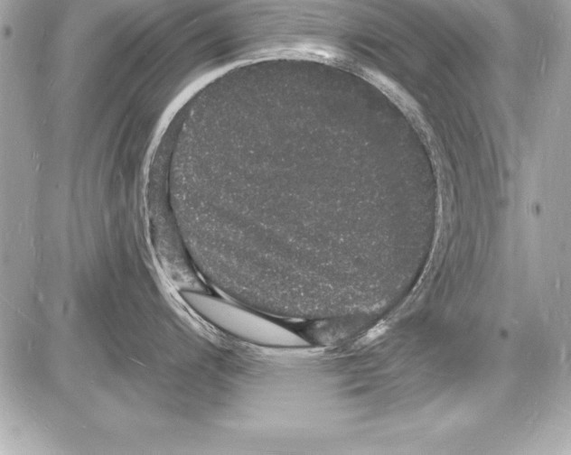 X0000085281200200704092158