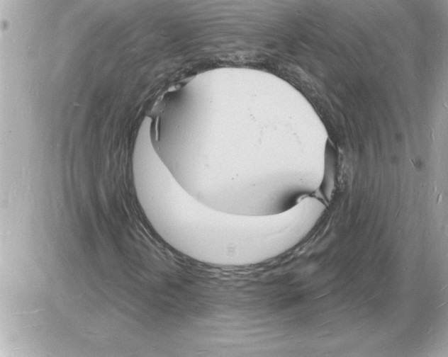 X0000085281202200704092157