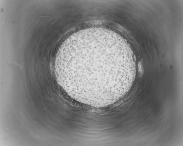 X0000085281203200704092157